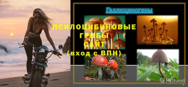 марки lsd Алексеевка